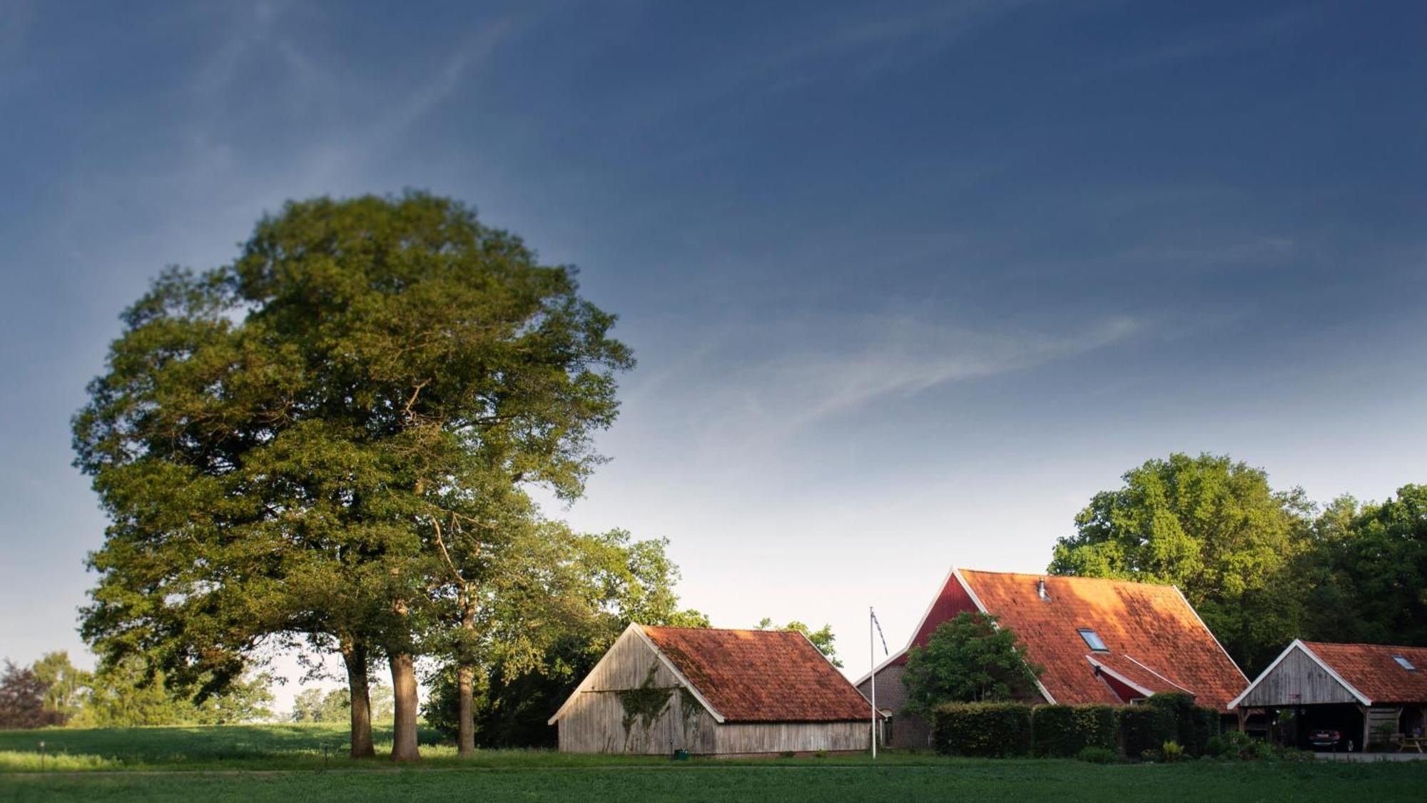Buitenverblijf Het Grootenhuis Winterswijk Henxel Exterior photo